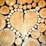 De houtmarkt in Utrecht: Een overzicht van lokale houthandelaren